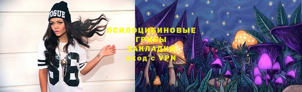мдпв Киренск