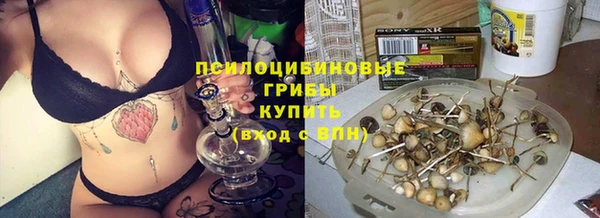 мдпв Киренск